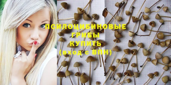 амф Гусев